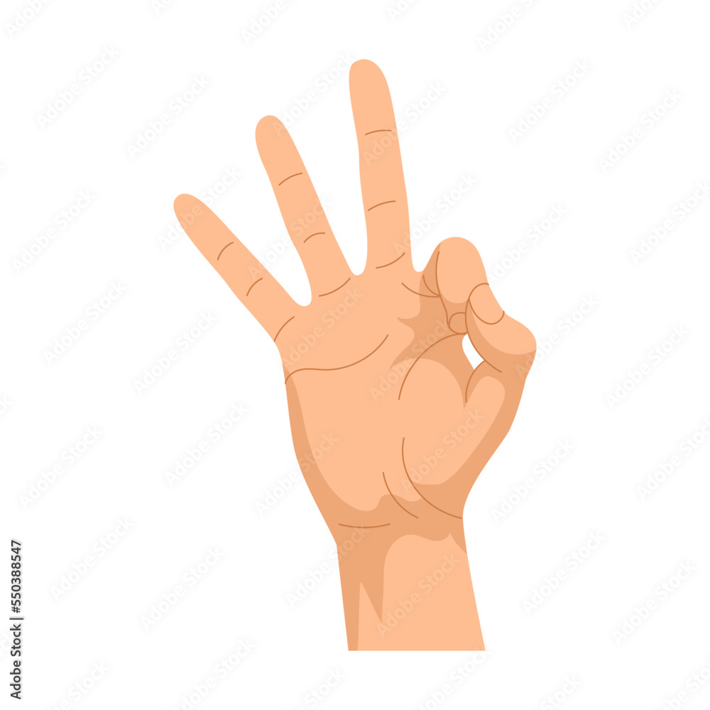 Hand gestures. Vector illustration of human palm showing number three sign. Cartoon peace symbol, thumbs up, ok positions isolated on white Hand gestures. Vector illustration of human palm showing number three sign. Cartoon peace symbol, thumbs up, ok positions isolated on white
