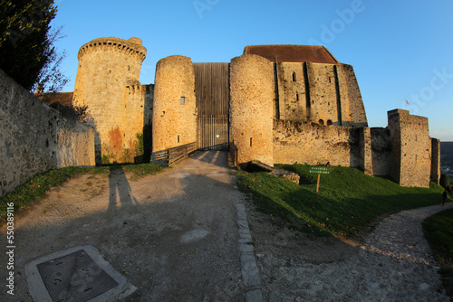 La Madeleine Castle - Chevreuse - Yvelines - Ile-de-France - France photo