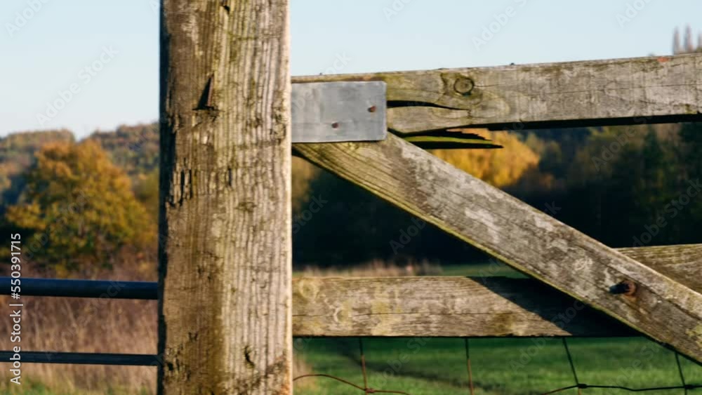Rustic rickety wooden fence in farmers field Rustic rickety wooden fence in farmers field