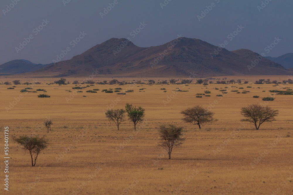 Sunset over the savannah. Beautiful landscape. Solitaire, Namibia.