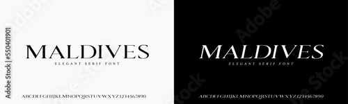 Elegant Font. Exclusive Font. Uppercase and Number. Lettering Fashion Designs. Typography serif fonts for design vector illustration