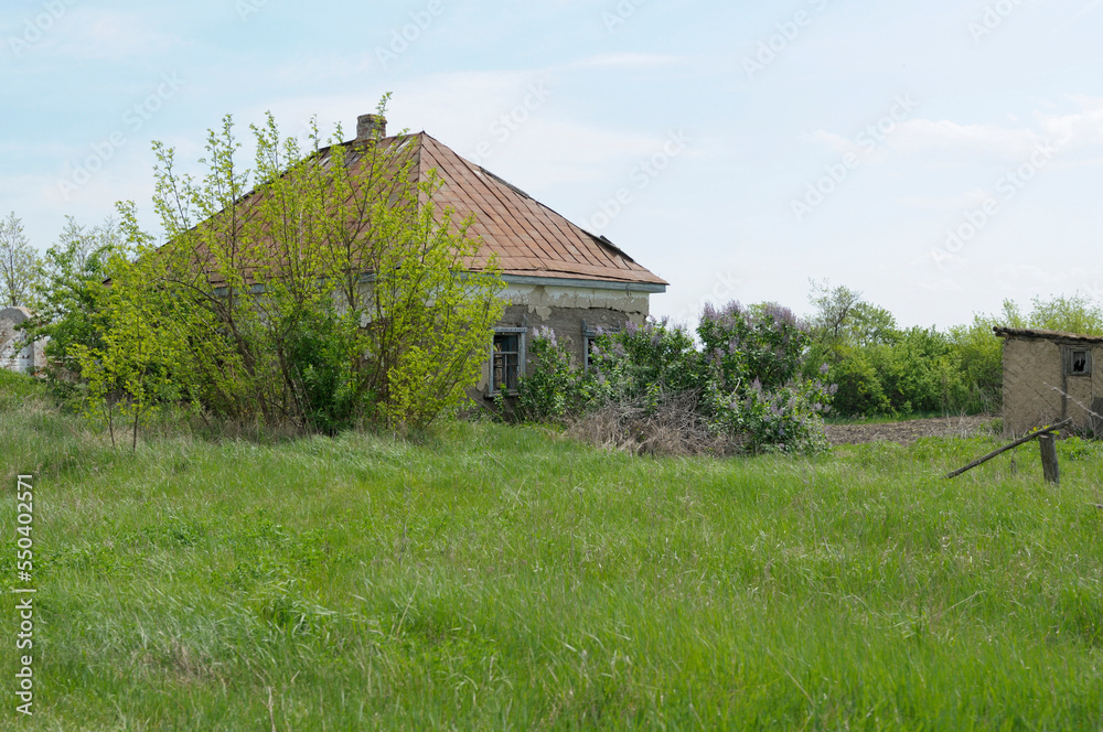 old abandoned rural household, house shed neglected garden. Katran village, Cherkassy oblast, Ukraine