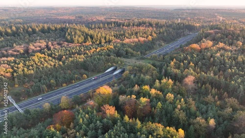 Ecoduct, ecopassage, nature bridge or game changeover. Infrastructure structure for animals and other wildlife to cross traffic, passage over a highway. Nature and man made objects merge. photo