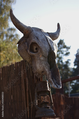 Decor imitating the skull of a horned animal with a rusty kerosene lamp hanging on the fence