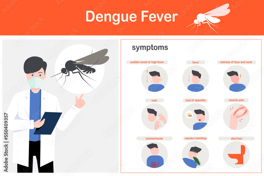 Symptoms of Dengue fever, vector illustration, flat design Stock Vector