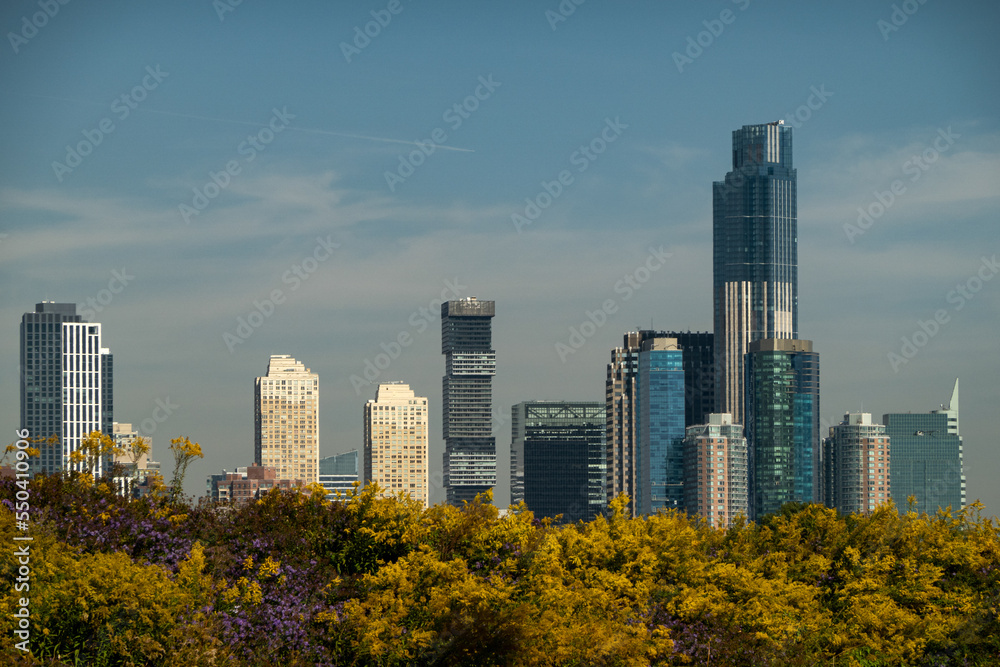 Fototapeta premium city skyline