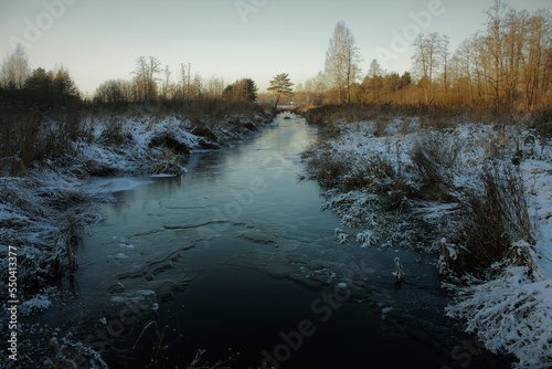 A foggy morning in the winter nature. Fallen snow covers the banks of an unfrozen river, frozen branches hang down into the dark surface of water