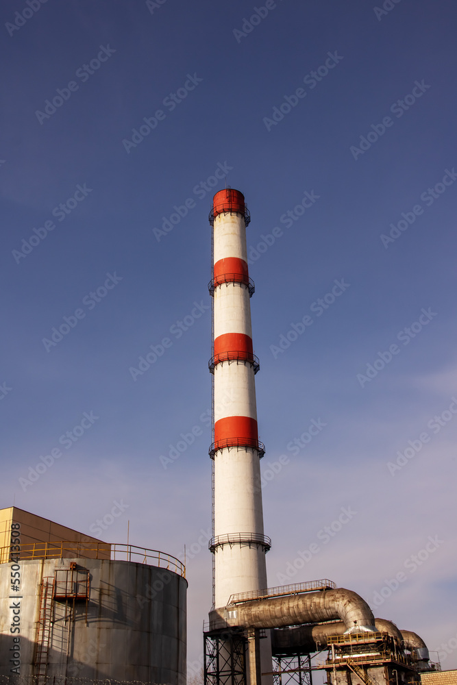 Red and white pipe of plant against background of blue sky