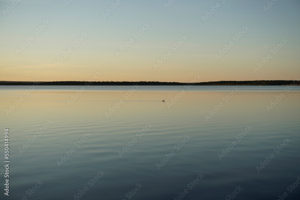 Beautiful sunset in July over a forest lake. Sun, calm quiet waves and reflection	