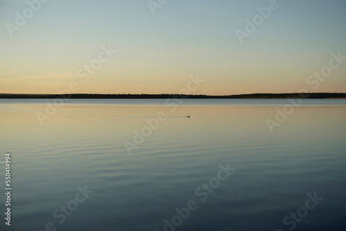 Beautiful sunset in July over a forest lake. Sun, calm quiet waves and reflection © Anatoliy