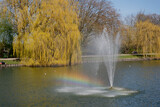 A rainbow formed in the lake with a fountain.