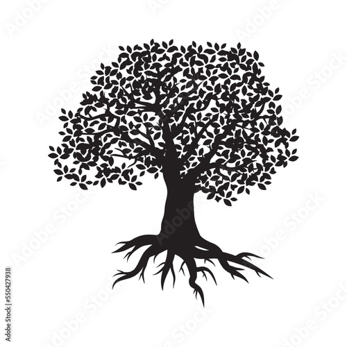 beautiful oak tree, logo