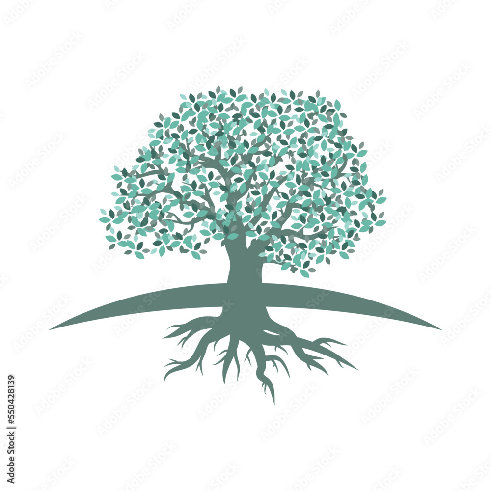Obraz premium beautiful oak tree, logo