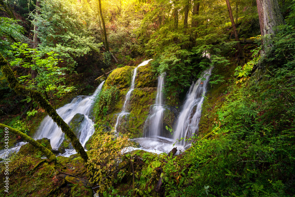 Cataract Falls, Marin County, California. Cataract Falls, Marin County, California.