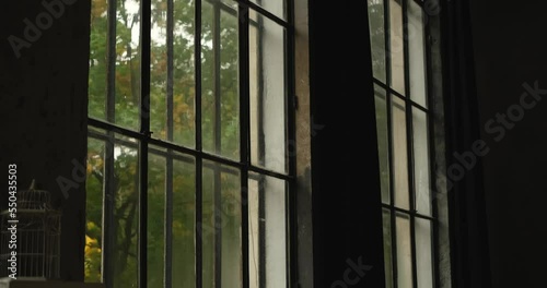 Wallpaper Mural Relaxation concept: huge window with garden or forest view in autumn colours. Windy and foggy weather outside. Fall season. High quality 4k video footage Torontodigital.ca