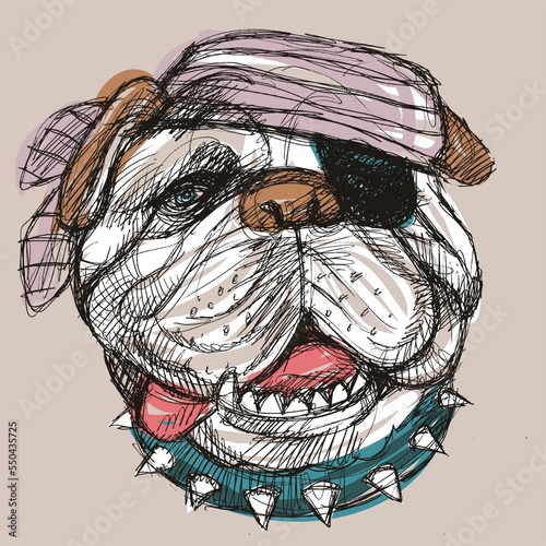 Bulldog dog  pirate dog  funny dog  spike collar  striped scarves  comic dog  drawing  sketch  animal  dog with eye patch