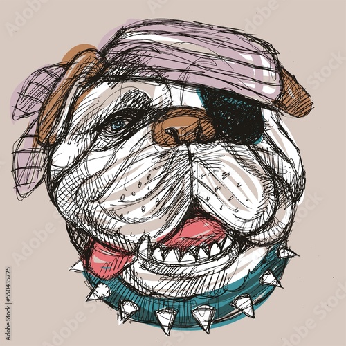 Bulldog dog, pirate dog, funny dog, spike collar, striped scarves, comic dog, drawing, sketch, animal, dog with eye patch