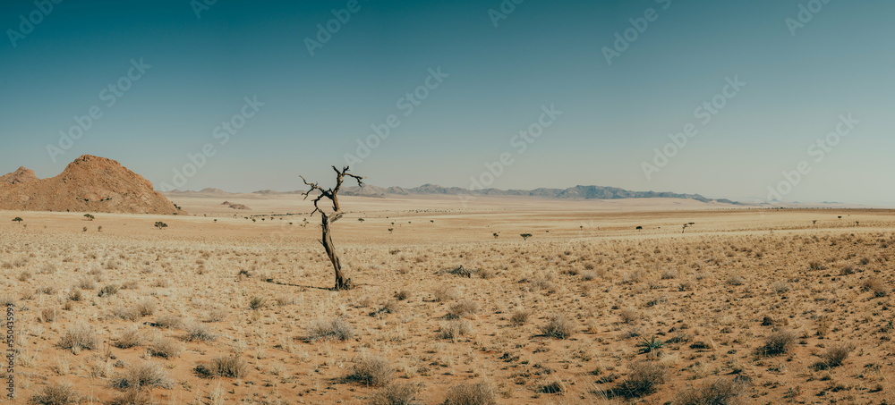 Panoramablick In Die Ebene Der Namib Im Gondwana Sperrgebiet Rand Park