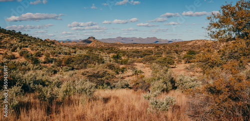 Panorama der Khomas Hochlandsavanne in der Nähe von Windhoek im namibischen Winter