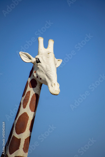 Photography giraffe statue and blue sky in the background