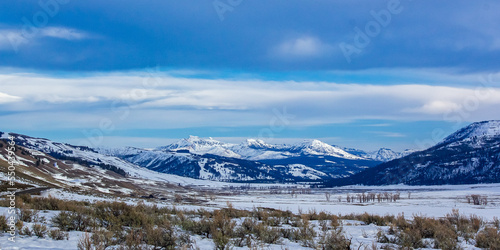 lamar valley yellowstone