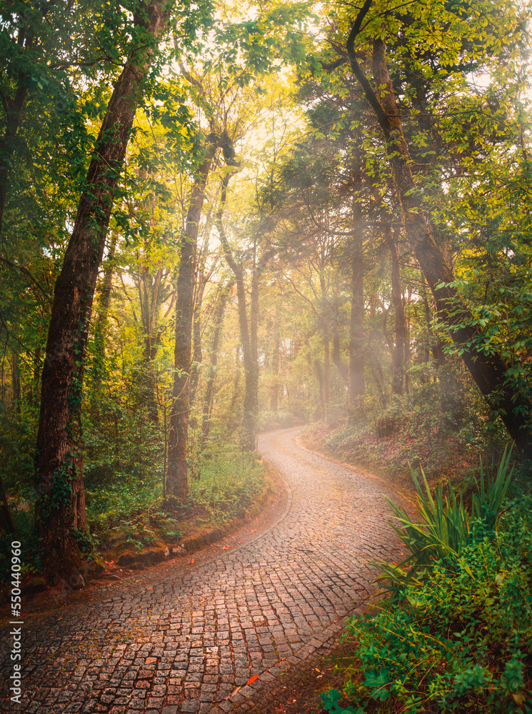 Naklejka premium Sintra