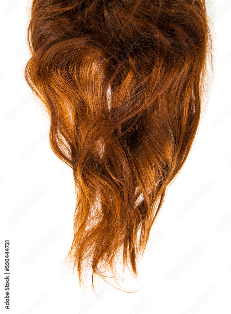 Brown hair isolated on white background. Brown hair isolated on white background.