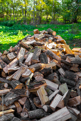 A pile of firewood in the yard, harvested for heating the house in the winter