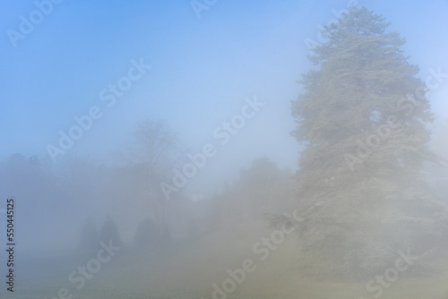 Fotografía le soleil juste à la limite du brouillard