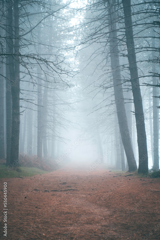 Obraz premium Val-de-Poldros