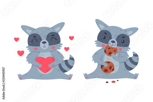 Funny Raccoon Animal Character with Striped Tail Holding Heart and Eating Cookie Vector Set