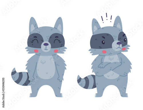 Funny Raccoon Animal Character with Striped Tail Standing with Grumpy Face and Smiling Vector Set