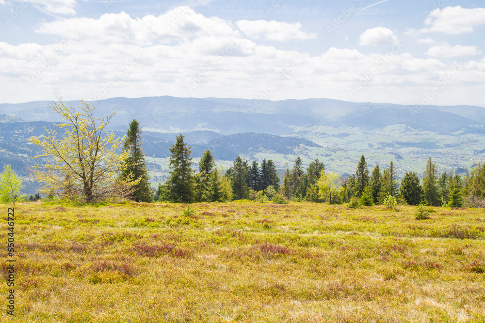 Peak of the Ćwilin mountain in Beskid Wyspowy (Lesser Poland) Szczyt Peak of the Ćwilin mountain in Beskid Wyspowy (Lesser Poland) Szczyt