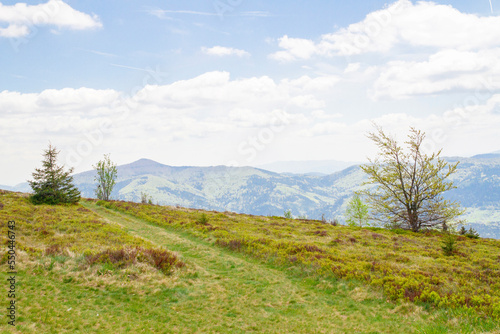 Peak of the Ćwilin mountain in Beskid Wyspowy (Lesser Poland) Szczyt "Ćwilin" w Beskidzie Wyspowym (Małopolska)