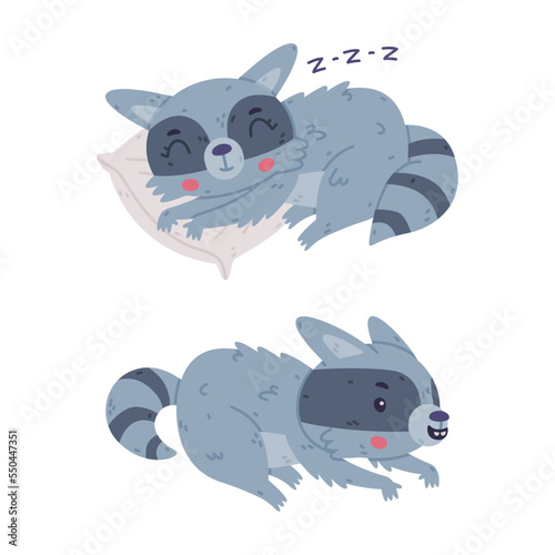 Funny Raccoon Animal Character with Striped Tail Sneaking and Sleeping Vector Set
