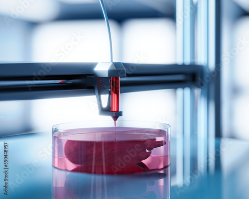 Bio print 3d - the concept of printing organs, future of transplantology photo