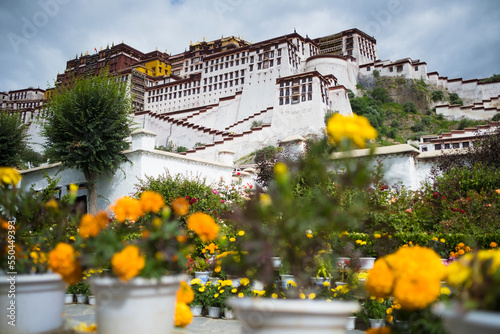 View of the Potala Palace, a UNESCO heritage site. Lhasa. Tibet Autonomous Region. China. photo