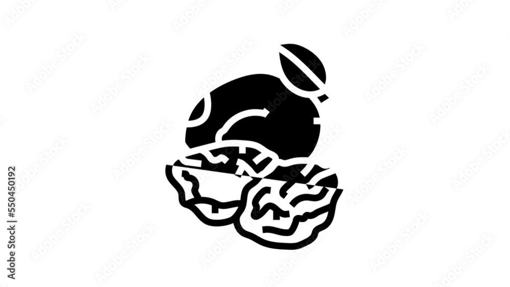 prune plum line icon animation prune plum line icon animation