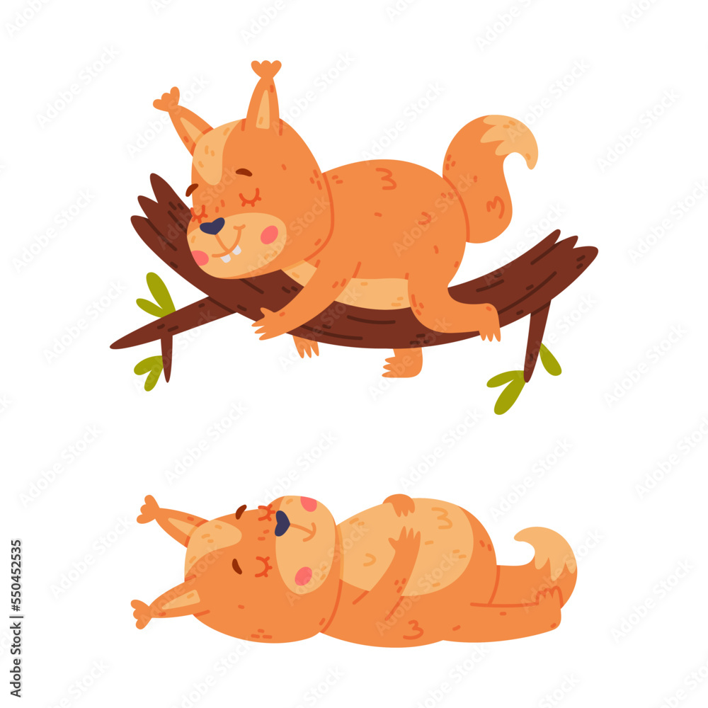 Fototapeta premium Funny Squirrel Character with Bushy Tail Sleeping on Tree Branch Vector Set