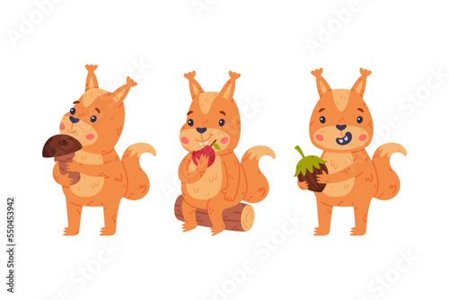 Fototapeta Naklejka Na Ścianę i Meble -  Funny Squirrel Character with Bushy Tail with Mushroom, Acorn and Apple Vector Set