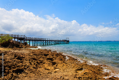 Wooden pier leading to clear blue ocean on Prison island  Zanzibar  Tanzania