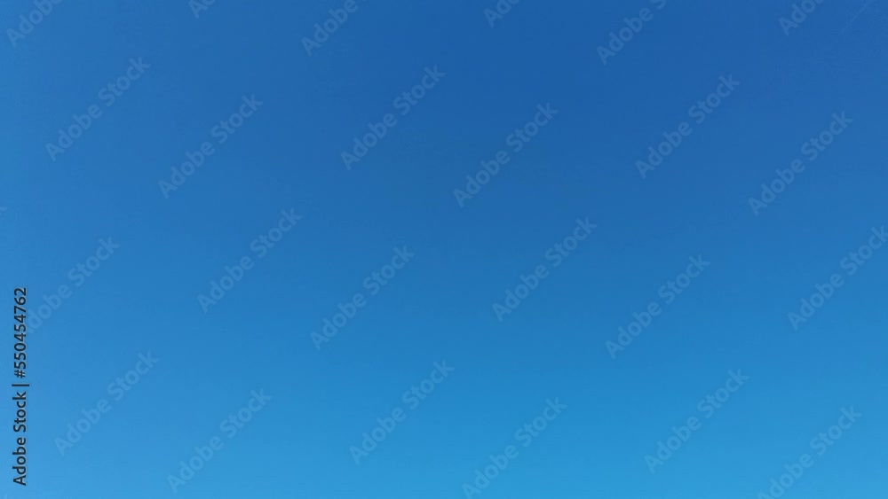 Corn Field Camera Pan Up | Maize Fields | Drought Cornfield and Blue Sky | Partially Dried Up Corn Field Camera Pan Up | Maize Fields | Drought Cornfield and Blue Sky | Partially Dried Up