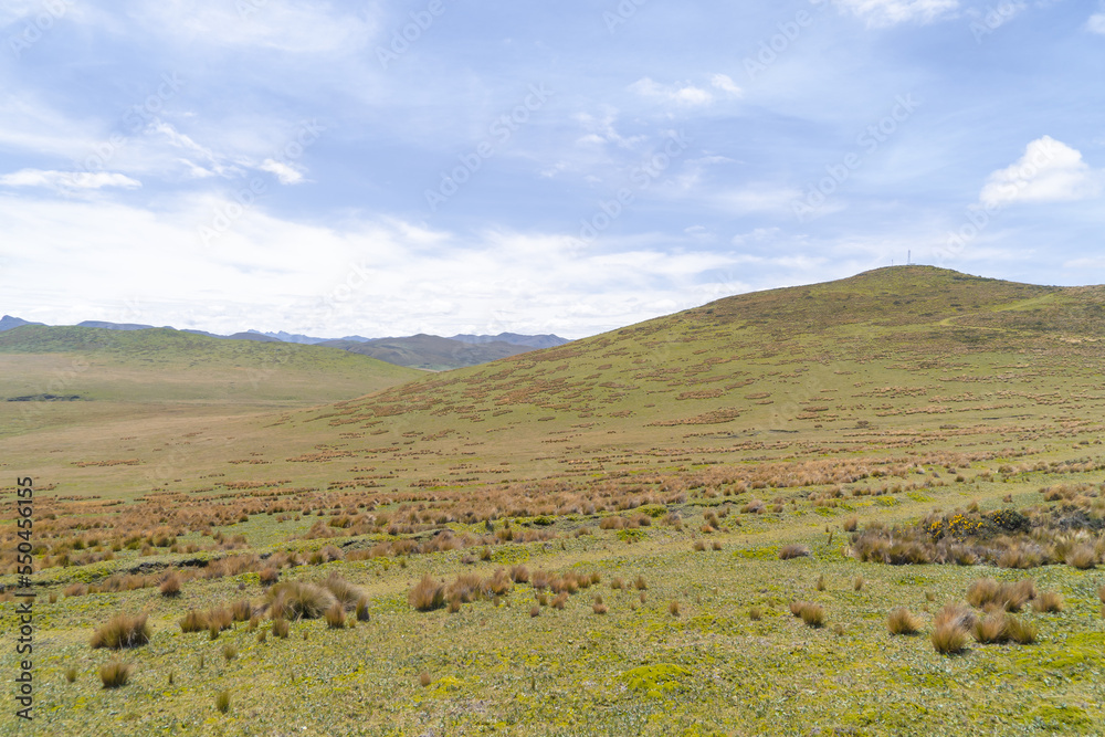 South America natural landscape with mountains, blue sky, green meadows, national park