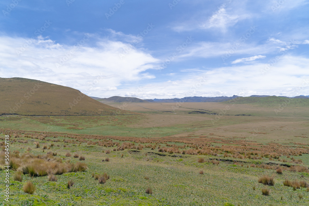 South America natural landscape with mountains, blue sky, green meadows, national park