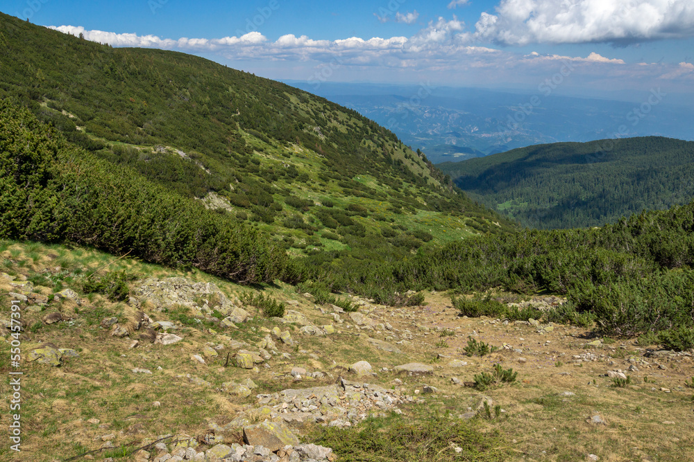 Summer Landscape of Pirin Mountain near Bezbog Lake, Bulgaria