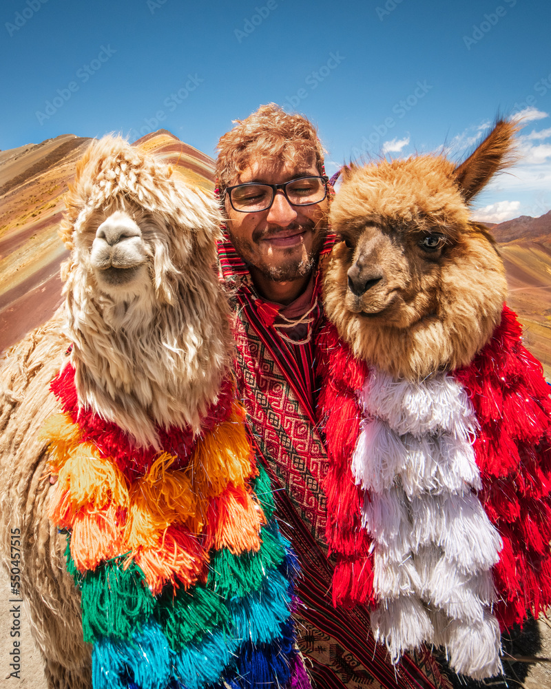 man with alpacas at rainbow montain in cusco peru - obrazy, fototapety, plakaty 