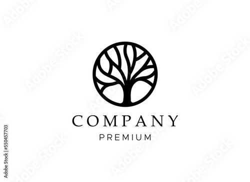 Tree vector icon. Nature trees vector illustration logo design.