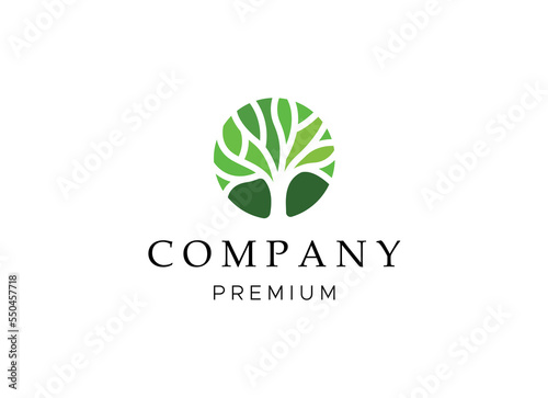 Tree vector icon. Nature trees vector illustration logo design.