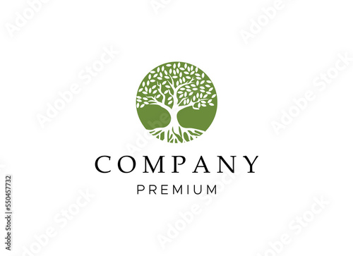 Tree vector icon. Nature trees vector illustration logo design.