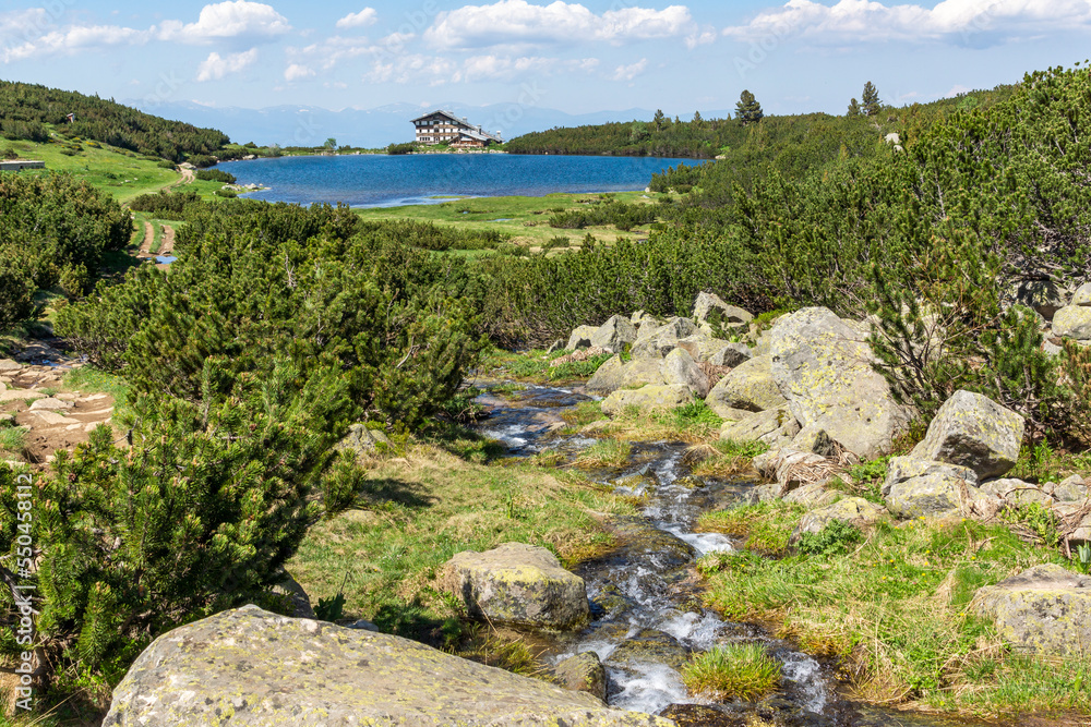 Summer Landscape of Pirin Mountain near Bezbog Lake, Bulgaria